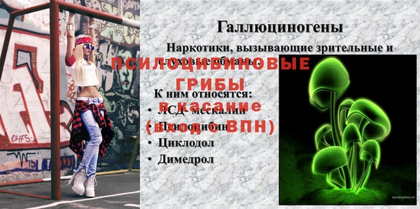 MDMA Premium VHQ Вяземский