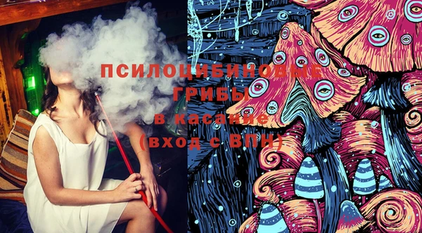 apvp Вязники